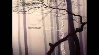Trentemoller   Into the Trees