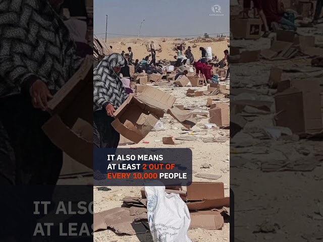 Gaza City officially in famine, says global hunger monitor