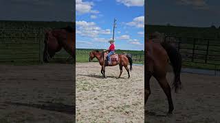 Class #29 Freestyle WJ Hsp