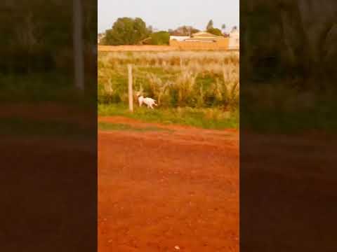 10 de novembro de 2025 Meridiano SP