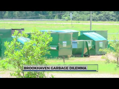 Why Small Businesses In Brookhaven Need Professional Garbage Pickup