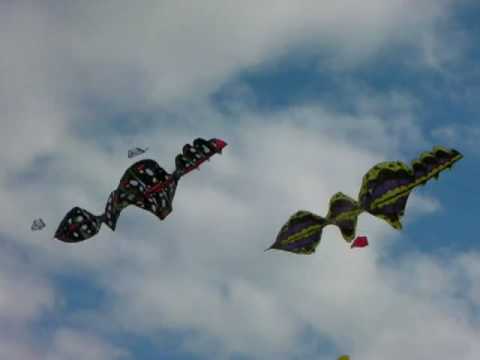 Kinetic kites - sea slug kites