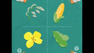 How does Crop Rotation help Protect Crops?