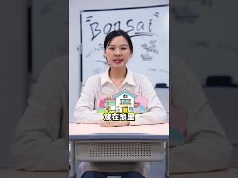 家有羅漢松 一世不會窮