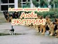 С первыми лучами вставай! 