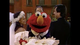 Classic Sesame Street - Wedding Pictures