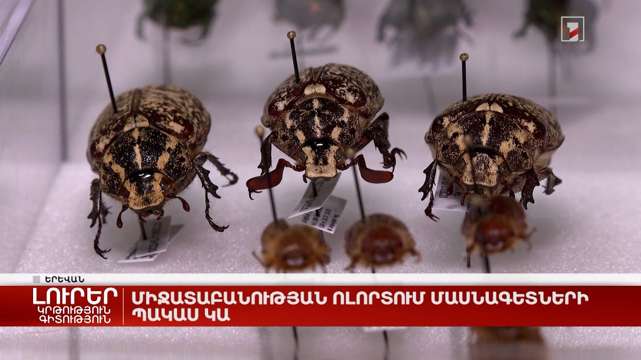 Միջատաբանության ոլորտում մասնագետների պակաս կա