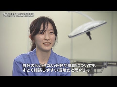 動物科学科 日本獣医生命科学大学 獣医学科紹介