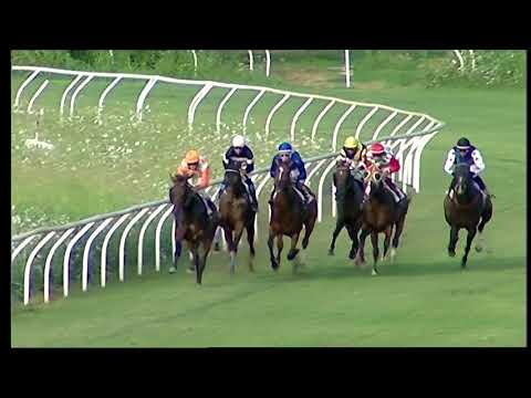 Napoli Galoppo 04/08/2021 - 2ª corsa