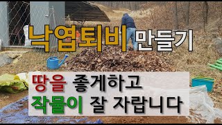낙엽 퇴비 만들기 땅을 좋게 하고 작물이 잘 자랍니다. #유기물 퇴비 만들기.