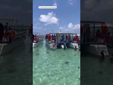 Vários vídeos e dicas sobre Maragoggi nesse canal. #maragogi #alagoas #maceioalagoas