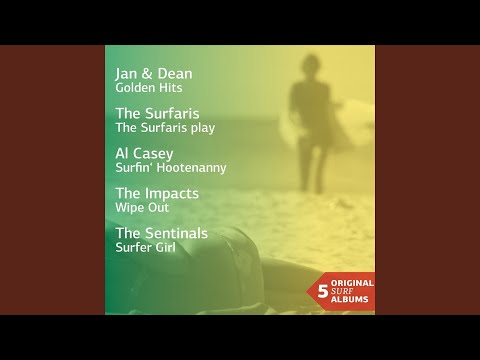 Point Panic (The Surfaris Play)
