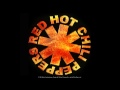 Red Hot Chili Peppers - Rivers of Avalon 