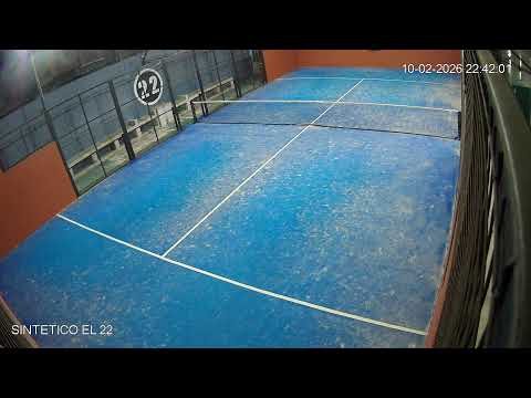 Sintetico el 22 - Carlos Tejedor