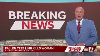 Woman killed by falling tree limb, Surry County EMS says