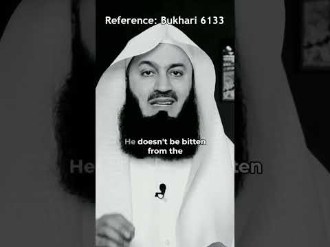 A true believe is not bitten from the same hole twice • Mufti Menk #allah #الله #muhammadﷺ #islam