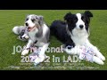 JOA Regional 千葉 CHIP Day1 2022 0702