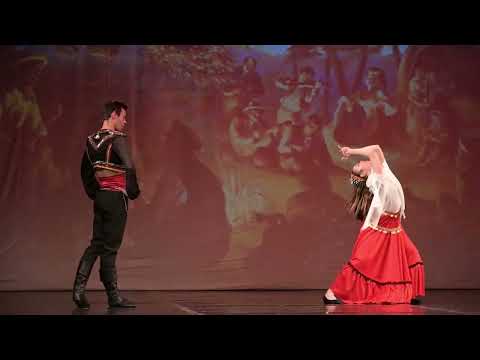 Gipsy  dance Don Quixote