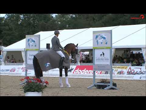 Labbadio - Hannoveraner Champion 2018