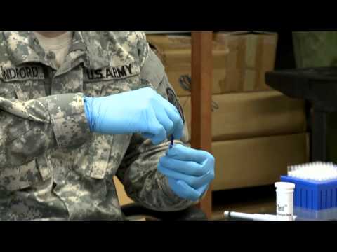 Procedures for detecting Leishmaniasis in Sand Flies.mov