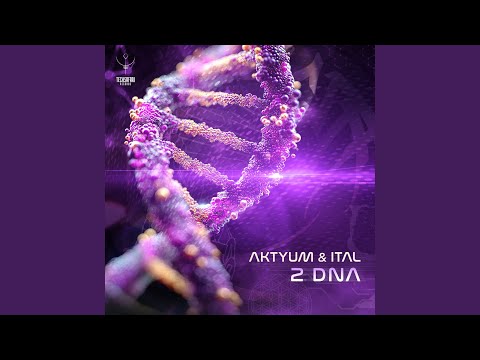2 DNA