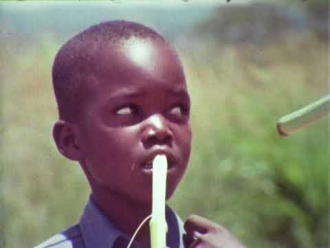 F 3495 British Aerospace "The Quiet Safari" BAE-146