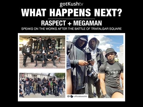 Raspect RebelLion and Mega Man - What Really Happened and The Next Steps