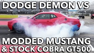 Dodge Demon vs Cobra GT500 (Stock vs Stock) &amp; Modded Mustang