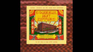 Flight Of The Passing Fancy - Squirrel Nut Zippers