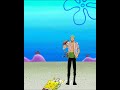 Zoro In Bikini Bottom One Piece X SpongeBob Manga Edit