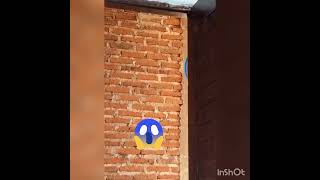 心霊？？幽霊？？視線を感じる…