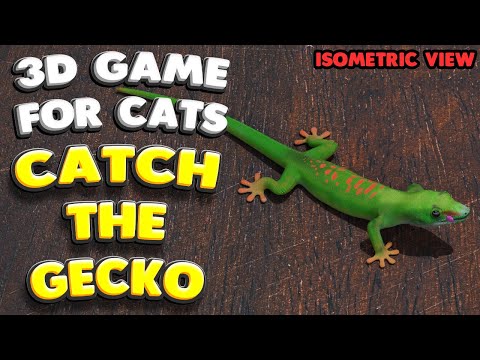 3D game for cats | CATCH THE GECKO (isometric view) | 4K, 60 fps, stereo sound