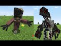 Withering Away: Reborn Mod – Infection in Minecraft