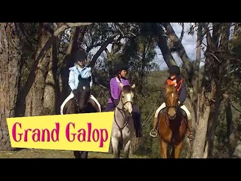Grand Galop 203 - Une championne au Pin creux (Partie 1) | HD | Épisode Complet