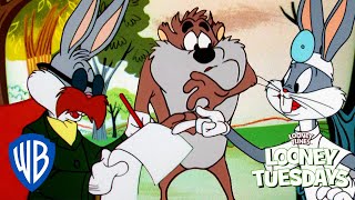 Looney Tuesdays  Bugs Bunny and Tazs Adventures  L