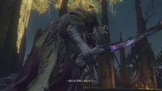 [ELDENRING]　褪せ人&メリナvs忌み王モーゴット