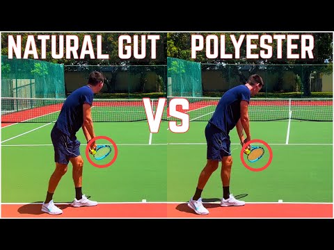 Natural Gut vs Polyester | Tennis String Comparison