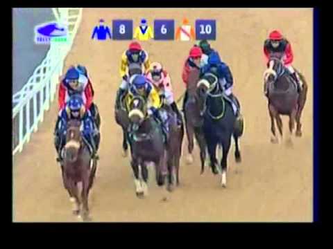 Mootahadee - 1st win - Racing Association