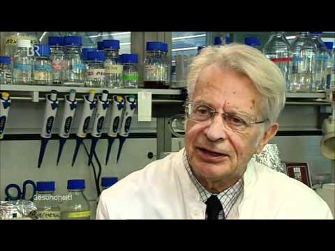 Ginkgo: Ein Kraut gegen das Vergessen?