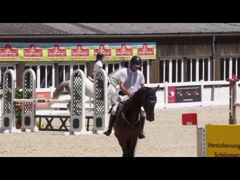 ZARA WHITE (5yo Zirocco Blue) 25.06.22 Memmingen - SPF L