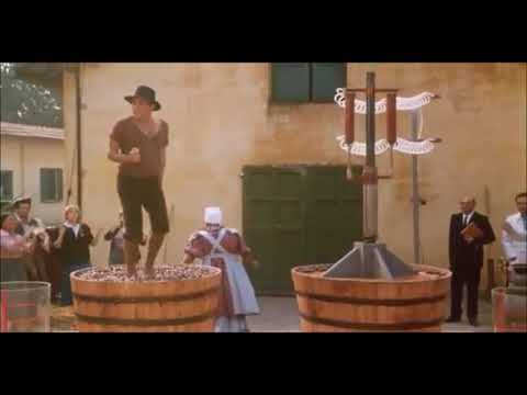 Grape Stomp Adriano Celentano The Taming of the Scoundrel (Il Bisbetico Domato)