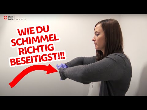Was tun bei Schimmel in der Wohnung?