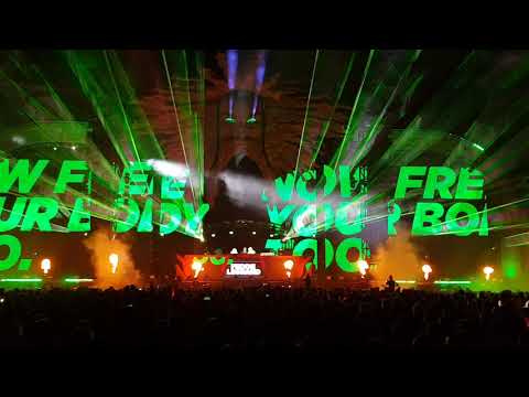 FEDDE LE GRAND & MELO.KIDS ON RED STAGE | Sunrise Festival 2019