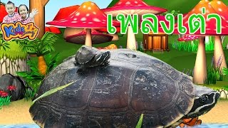 เพลงเต่า แม่เต่ากับลูกเต่า    เพลงเด็ก  - Turtle Song  by KidsMeSong
