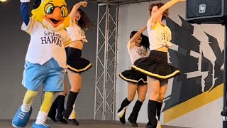 チアガール！ハニーズ！