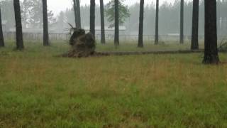 Moments after jena tornado