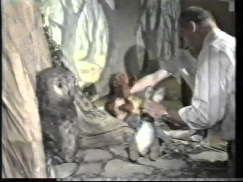 SAS10 Eyewitness News Promo