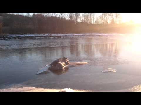 December 25th, 2014.  Greåker, Norway.