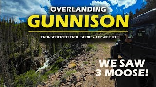 Overlanding Gunnison National Forest and Central Colorado | Transamerica Trail Series Episode 18