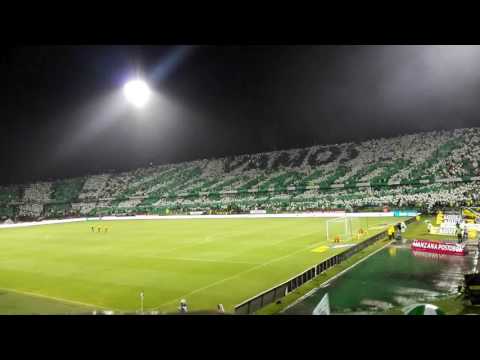 "Atlético Nacional 1vs 0 millonarios" Barra: Los del Sur • Club: Atlético Nacional